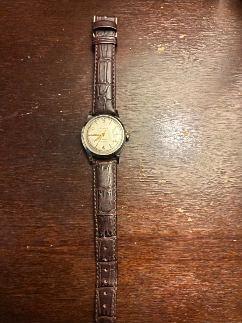 Vintage Holland Watch Men's Brown Leather Strap Watch with Gold-Tone Dial